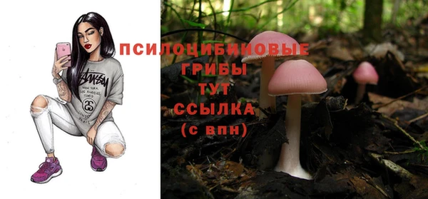 2c-b Алексин