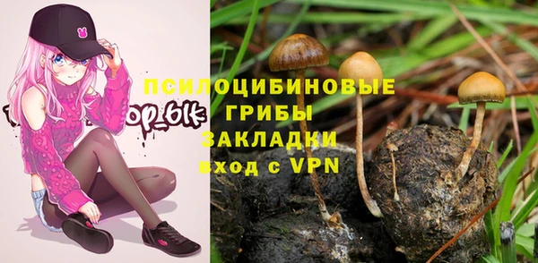 ешки Алексеевка