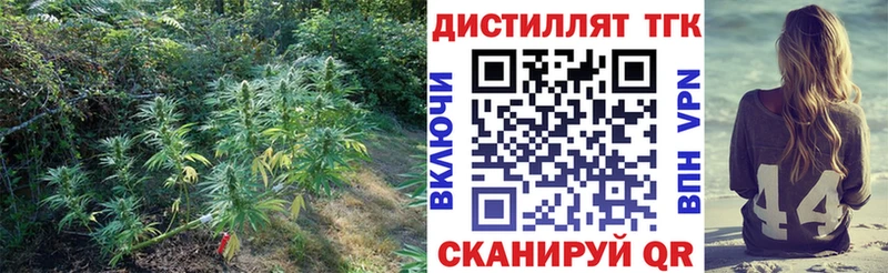 маркетплейс наркотические препараты  Дмитров  Дистиллят ТГК жижа 