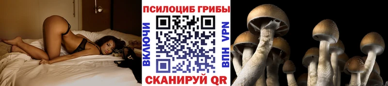 Галлюциногенные грибы GOLDEN TEACHER Дмитров